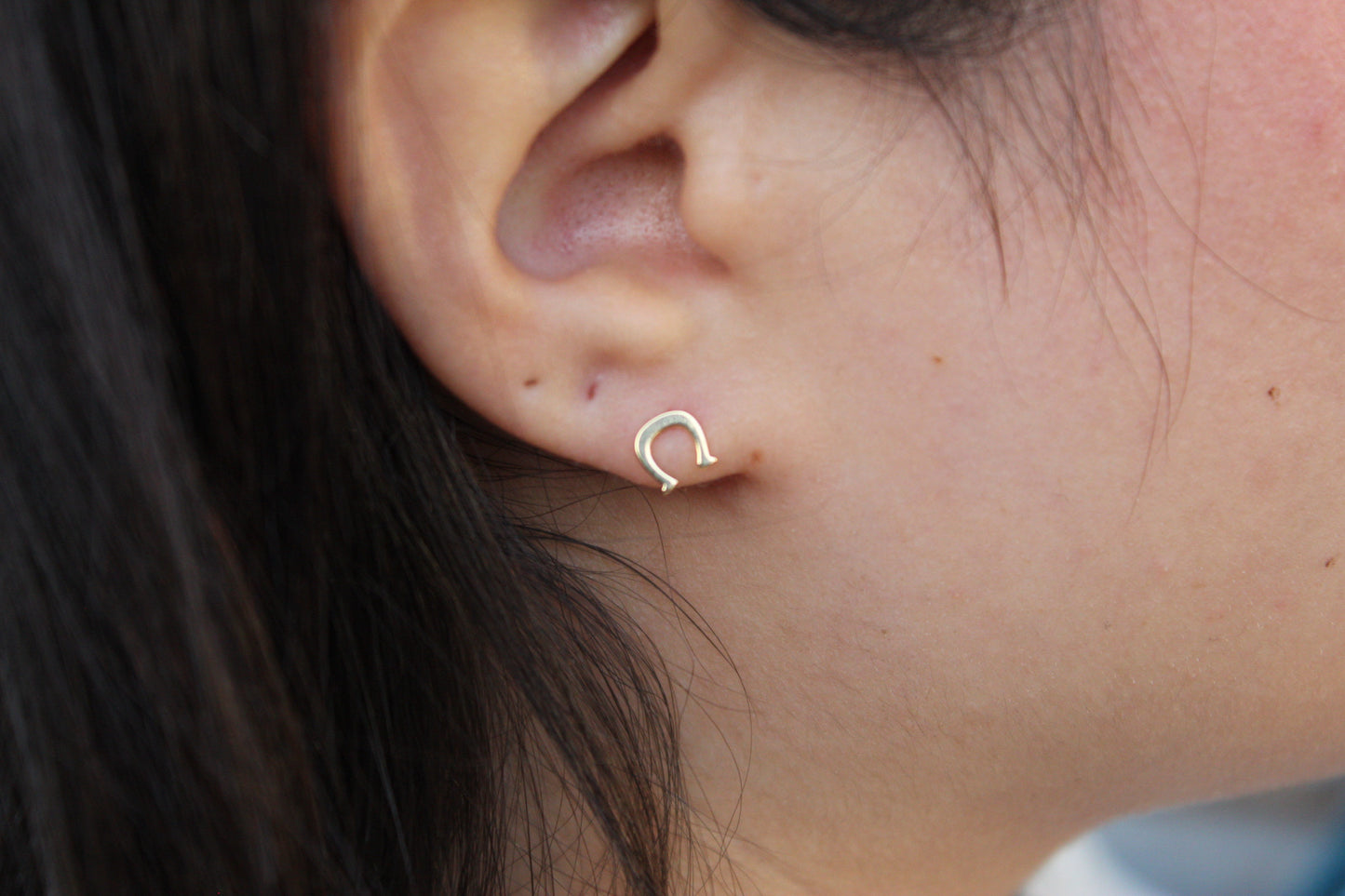 Aros Herradura