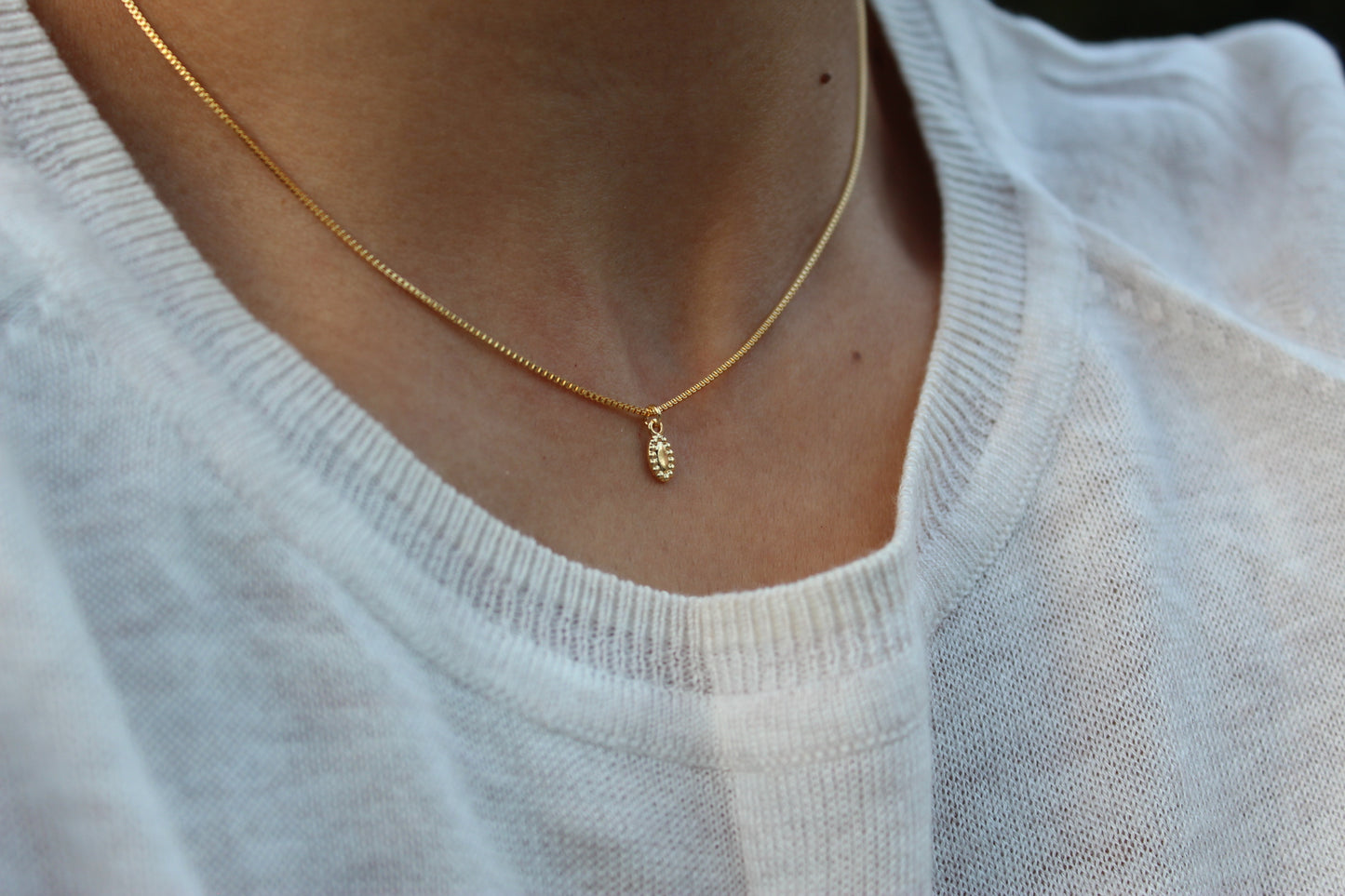 Collar BB Oval Bor