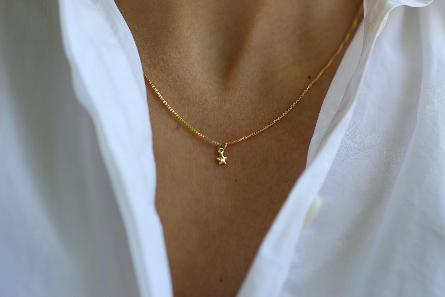 Collar BB Mini stella
