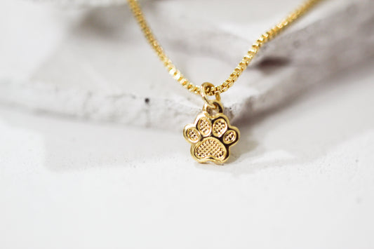 Collar BB Patita tex