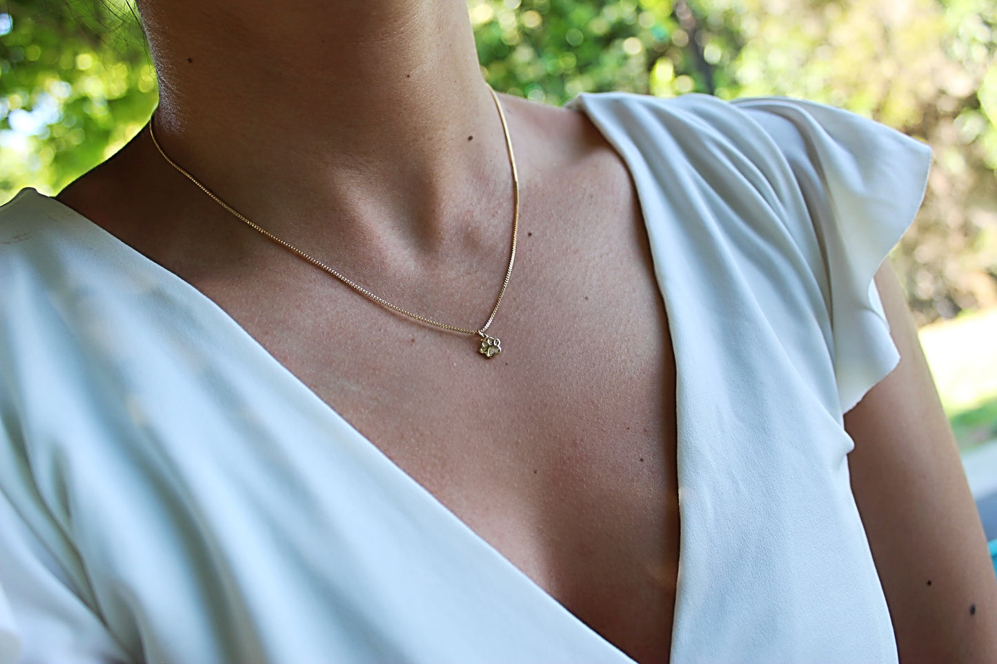 Collar BB Patita tex