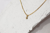 Collar BB Mini stella 2