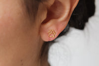 Aros Patita Cali 2