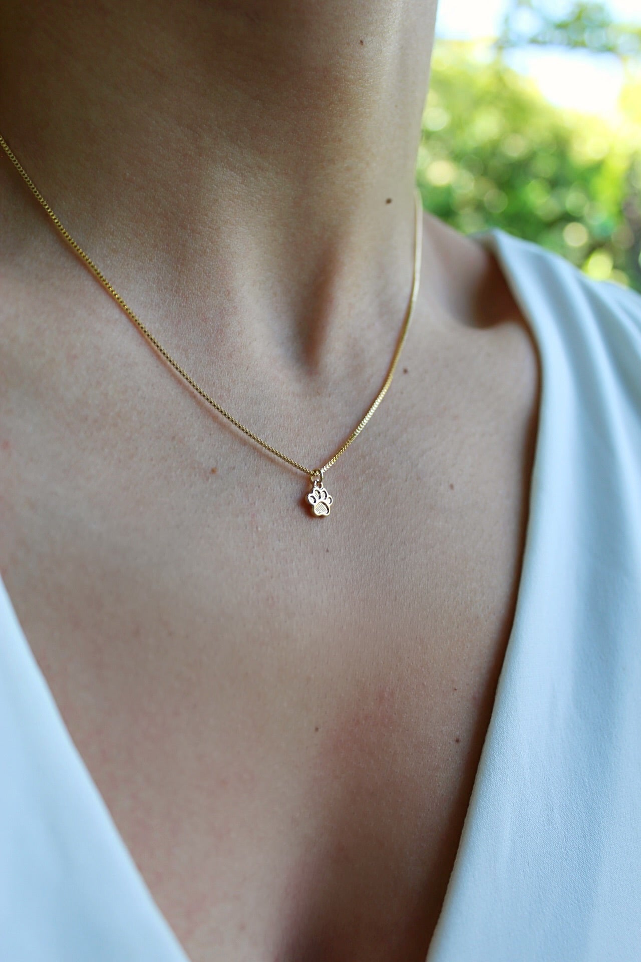 Collar BB Patita tex