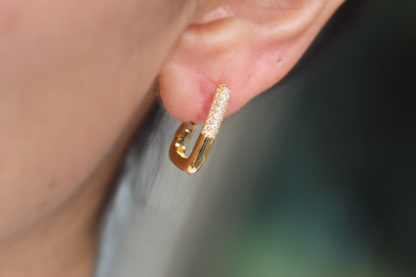 Argollas Borneo Gambar Ronda f.