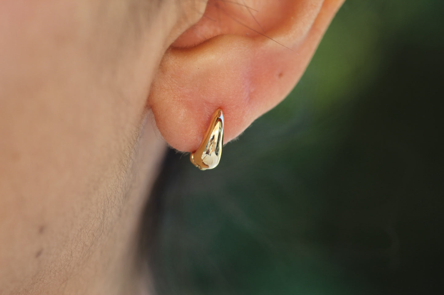 Argollas Borneo Glob 1,2