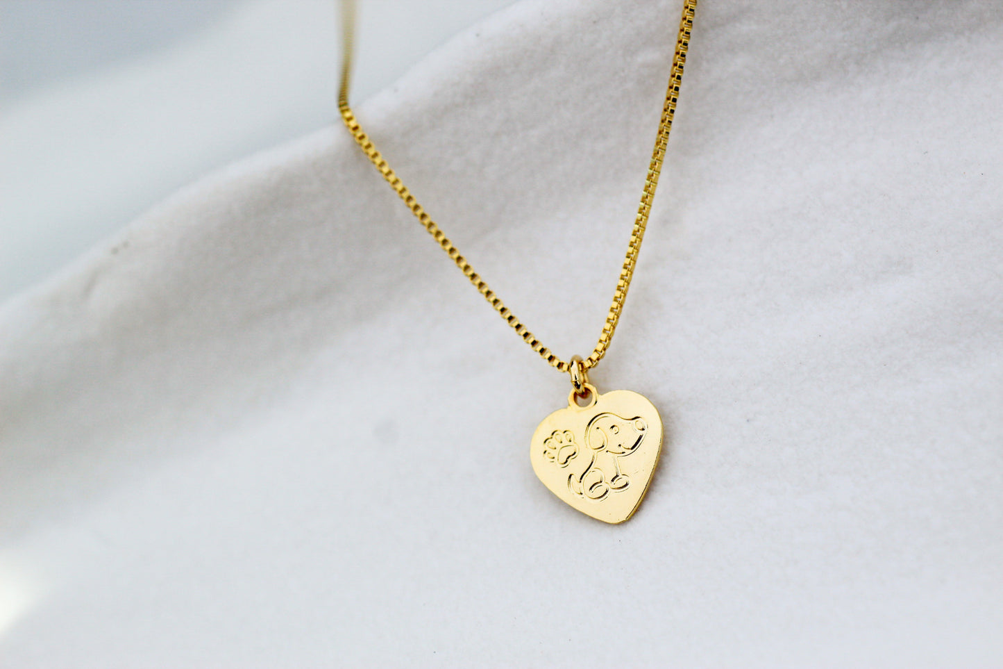 Collar Amor Dogs, un lazo que nunca se rompe.