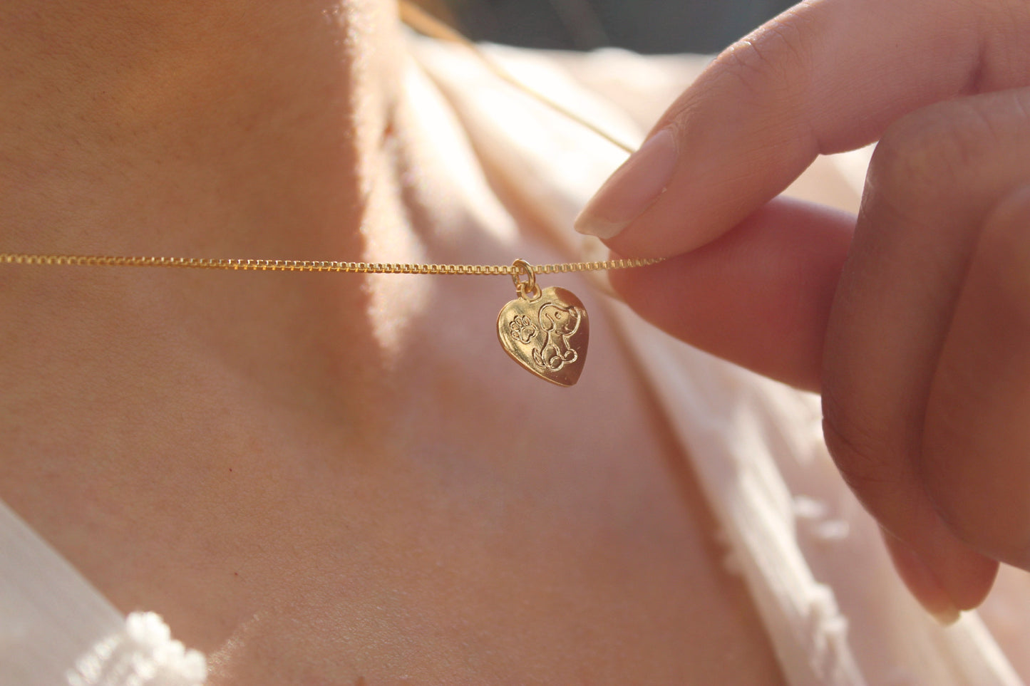 Collar Amor Dogs, un lazo que nunca se rompe.