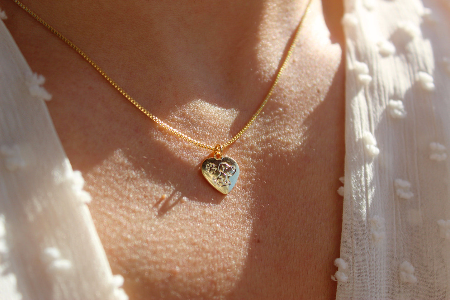 Collar Amor Dogs, un lazo que nunca se rompe.