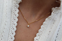 Collar BB Luz Bor 4 m 2