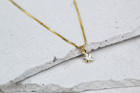 Collar BB Estrella Luz 5