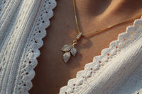 Collar Hoja Frost Iconic 2