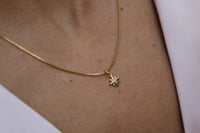 Collar Stella Guía Luz 3