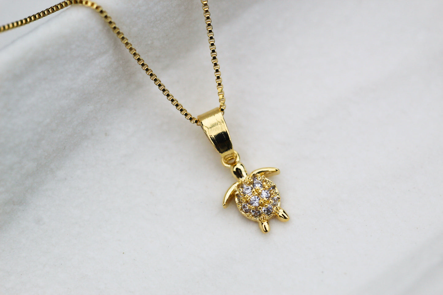 Collar Tortuga Frost
