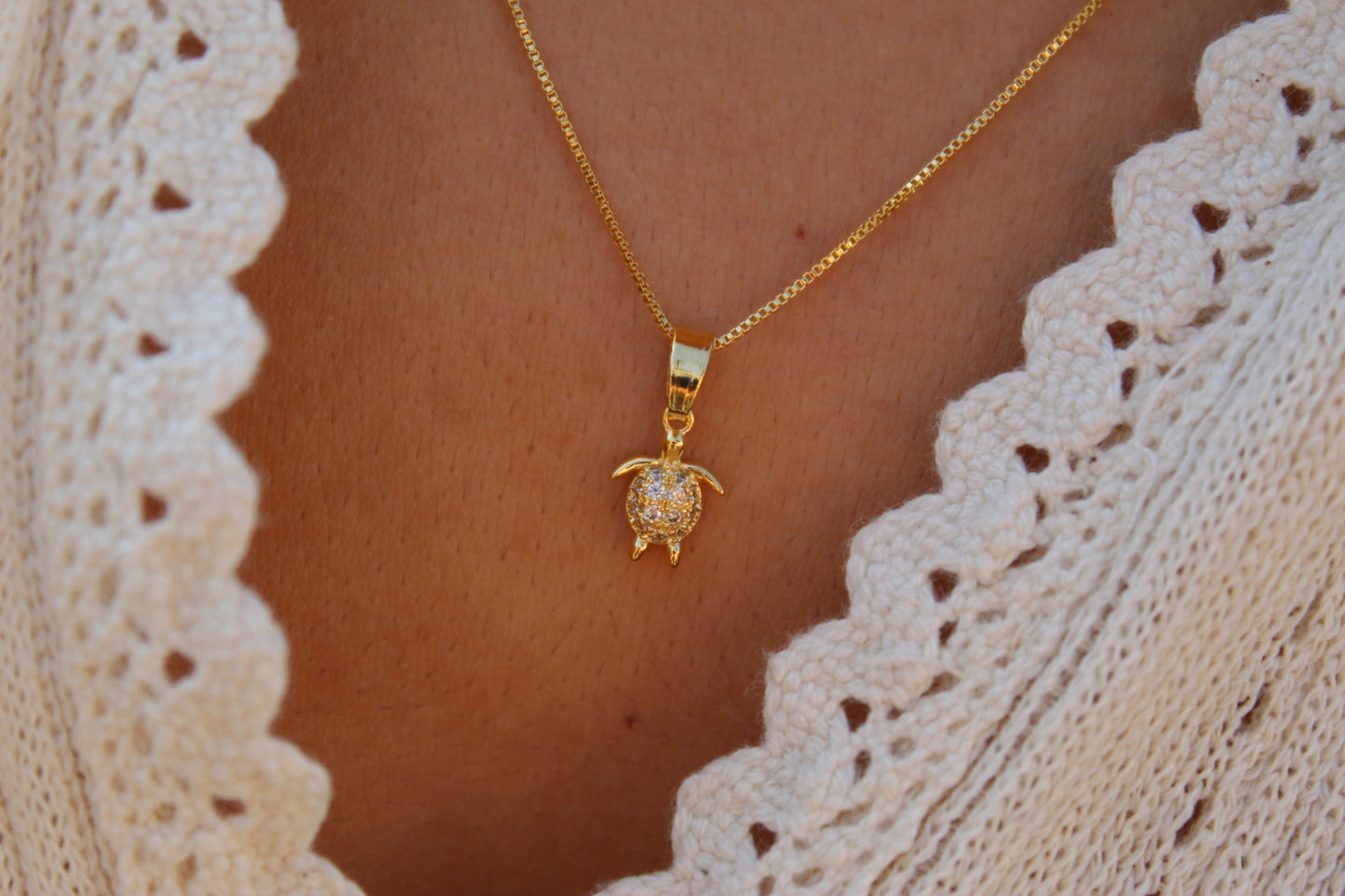 Collar Tortuga Frost