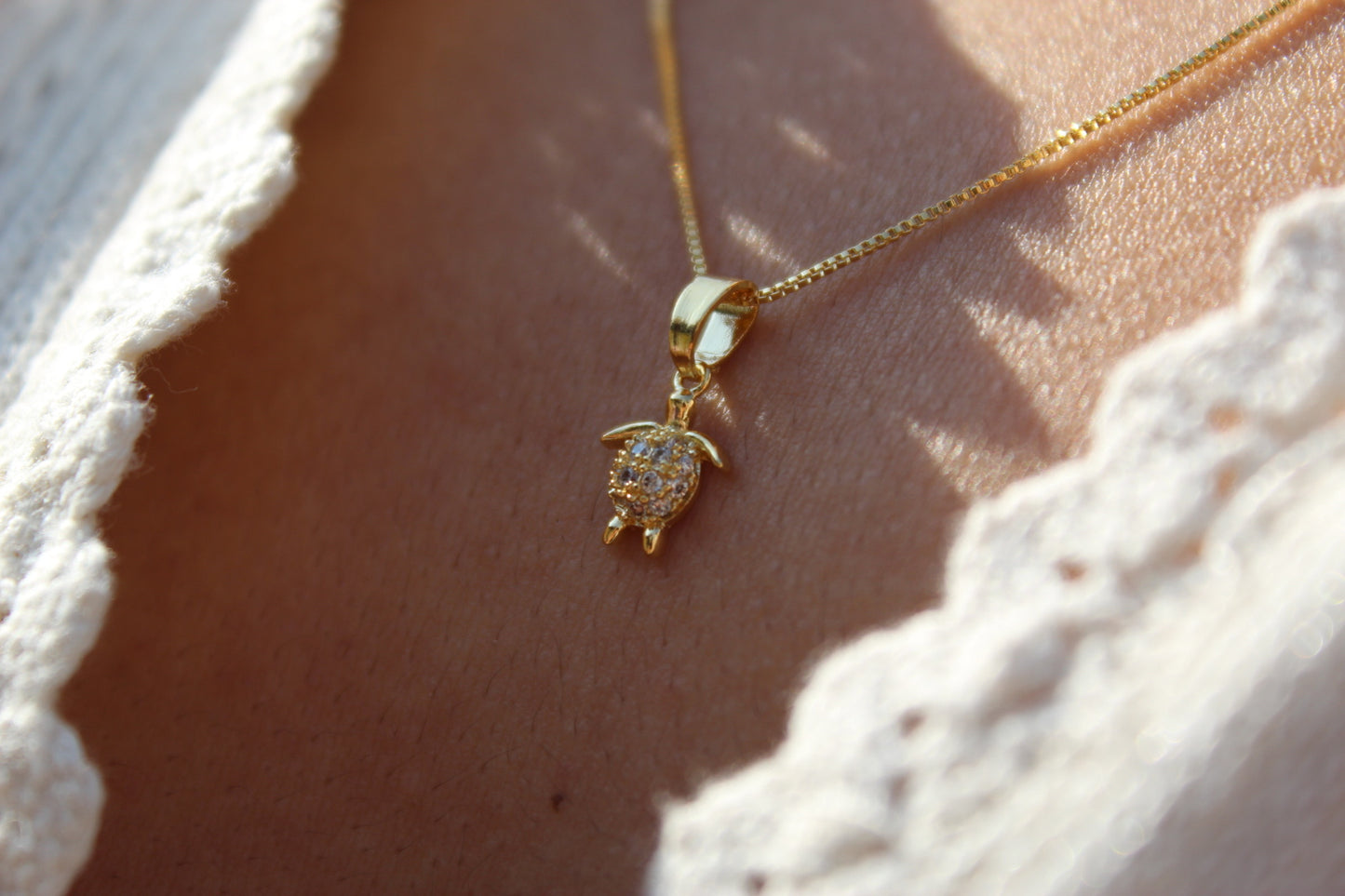 Collar Tortuga Frost