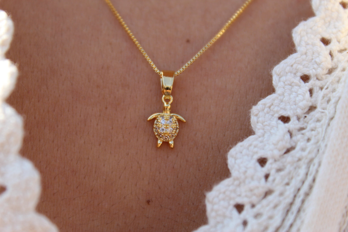 Collar Tortuga Frost