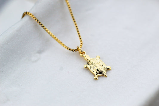 Collar Tortuga Vol, un amuleto para amantes de las tortugas.