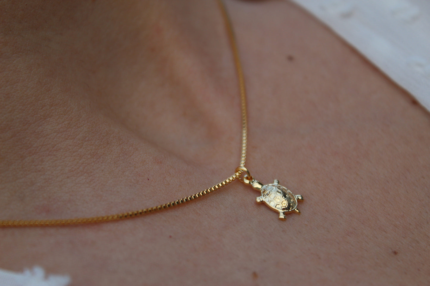 Collar Tortuga Vol, un amuleto para amantes de las tortugas.