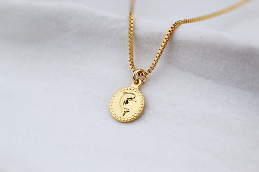 Collar BB Delfín Med, conexión, alegría y libertad en un solo símbolo