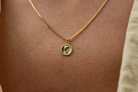 Collar BB Delfín Med, conexión, alegría y libertad en un solo símbolo 5