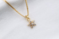 Collar BB Mini Flor Frost, la ternura que florece contigo 5