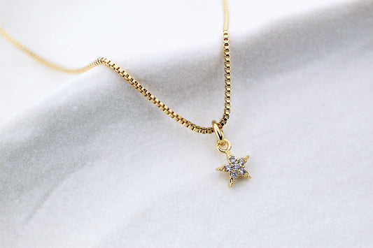 Collar BB Estrella Frost 4 m, tu propia luz, siempre contigo