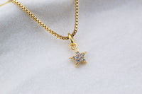 Collar BB Estrella Frost 4 m, tu propia luz, siempre contigo 7