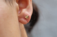 Aros BB Stella face 3