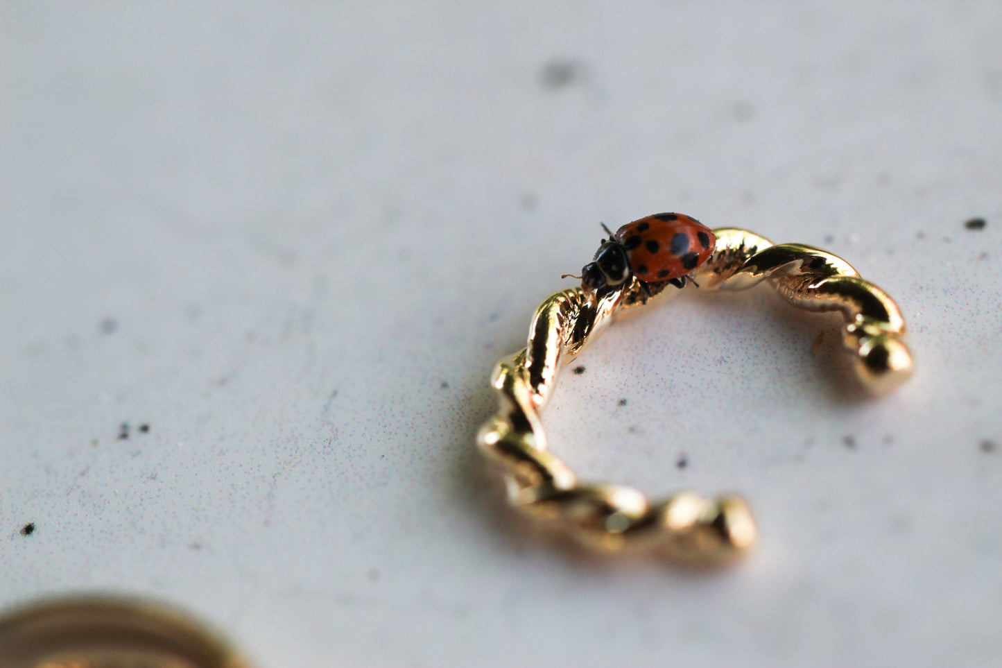 Earcuff Espiral