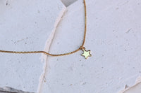 Collar BB Stella 5