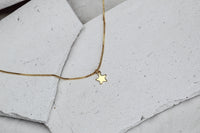 Collar BB Stella 4