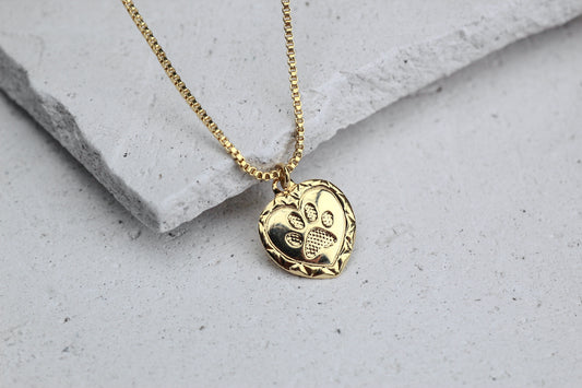Collar Amor Patita
