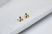 Aros BB Stella face 1